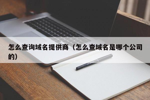 怎么查询域名提供商（怎么查域名是哪个公司的）