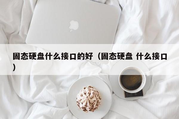 固态硬盘什么接口的好（固态硬盘 什么接口）